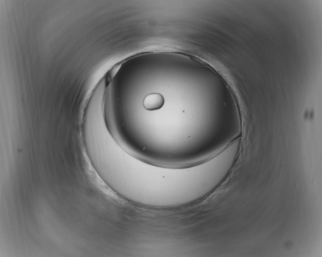 X0000113251488200909241558