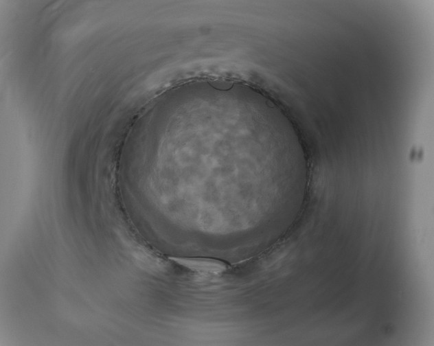 X0000113251489200909241557