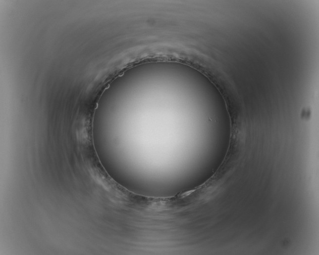 X0000113251490200909241557