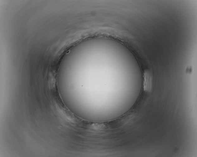 X0000113251491200909241558