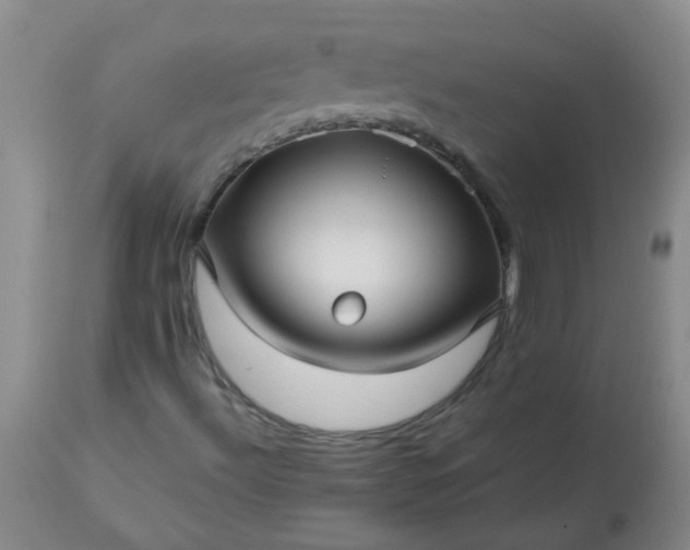 X0000113251492200909241558