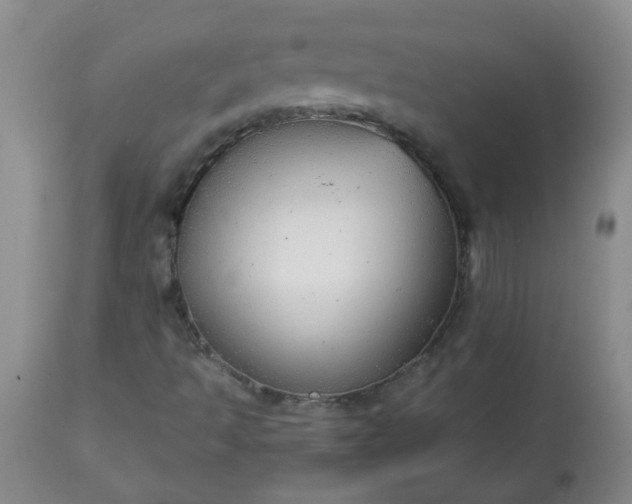 X0000113251493200909241558