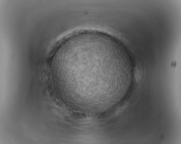 X0000113251494200909241558