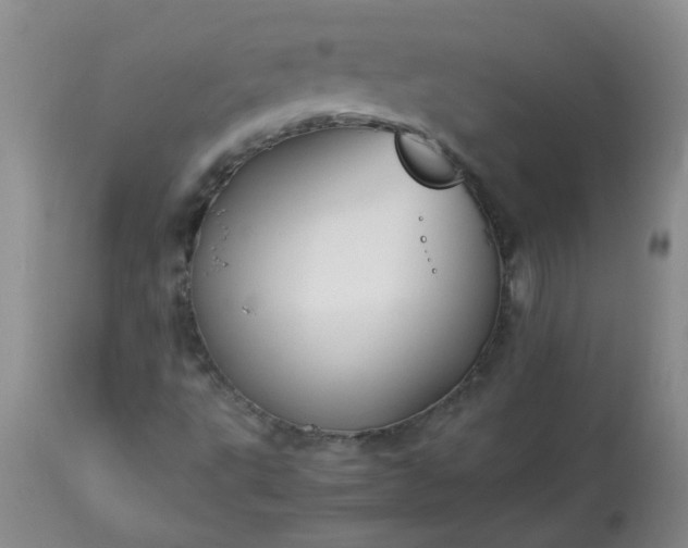 X0000113251495200909241558