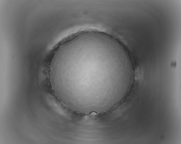 X0000113251496200909241558