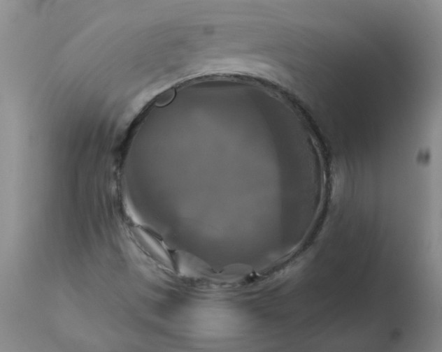 X0000113251497200909241558