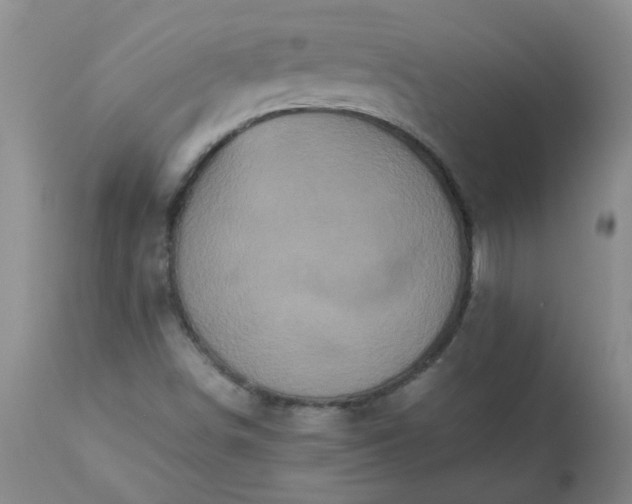 X0000113251498200909241558