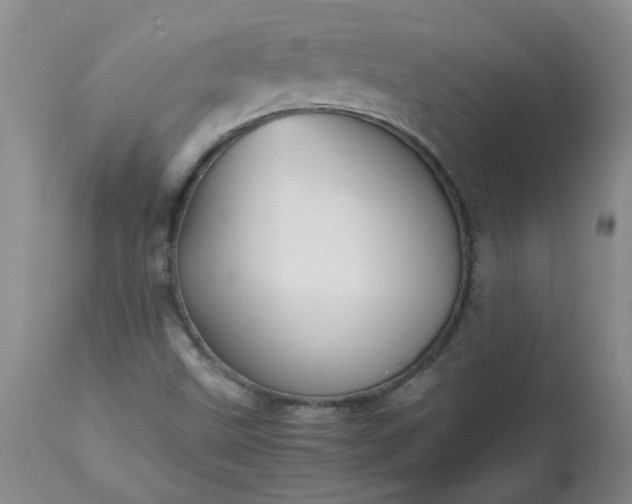 X0000113251499200909241558