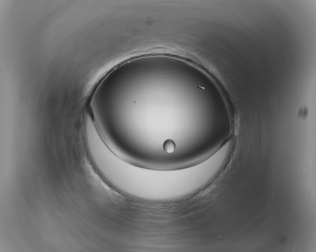 X0000113251500200909241558