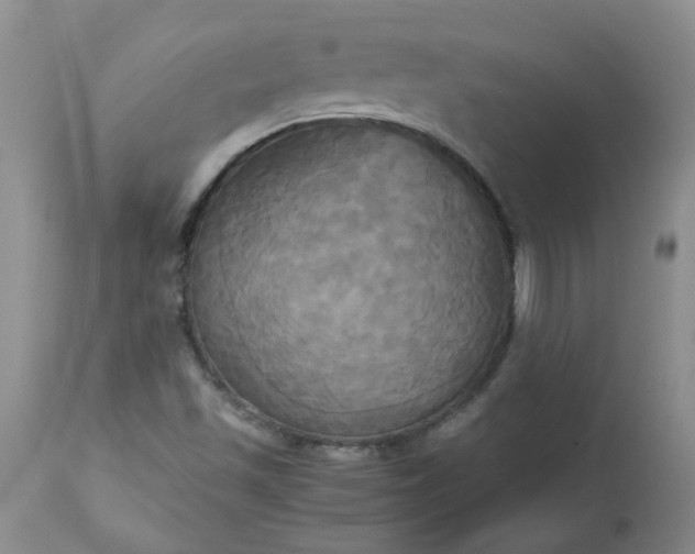 X0000113251501200909241558