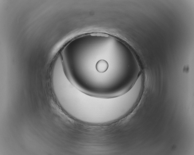 X0000113251502200909241558