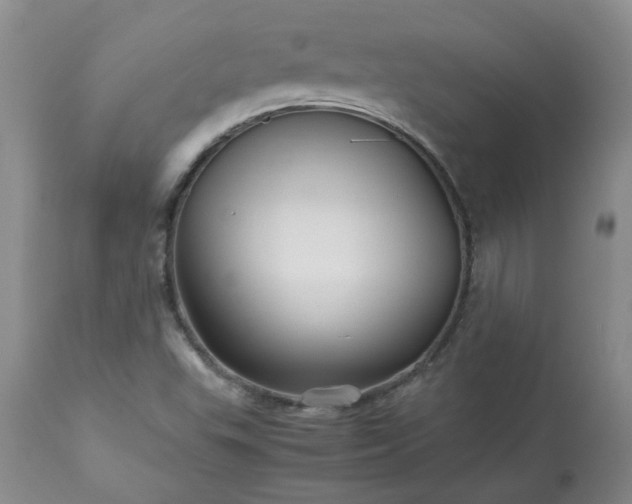 X0000113251503200909241558