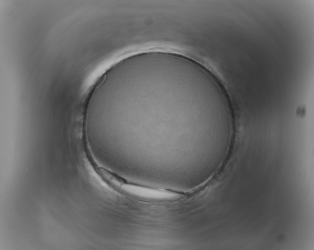 X0000113251504200909241558