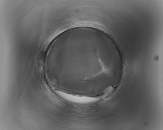 X0000113251505200909241558