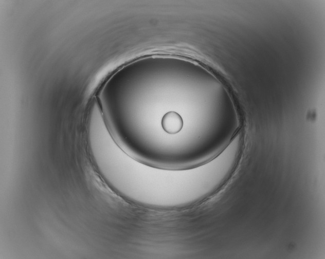 X0000113251506200909241558