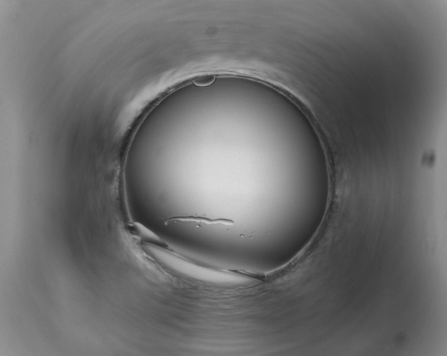 X0000113251507200909241558