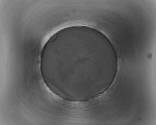 X0000113251508200909241558