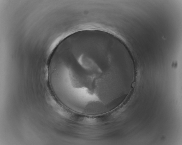 X0000113251509200909241558