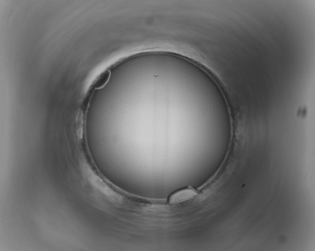 X0000113251510200909241558