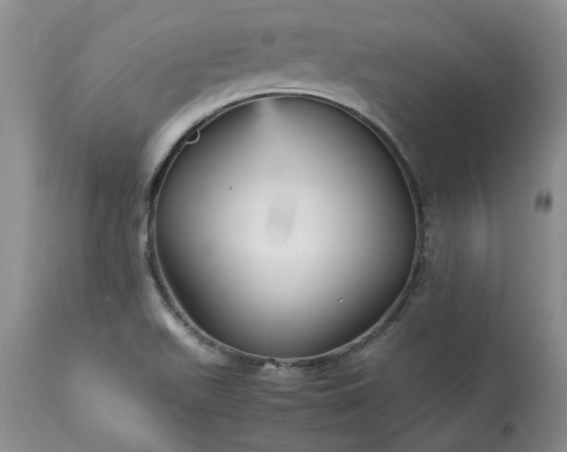 X0000113251511200909241558