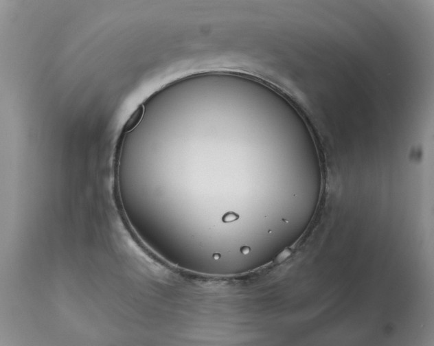 X0000113251512200909241558