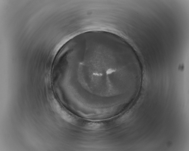 X0000113251513200909241558