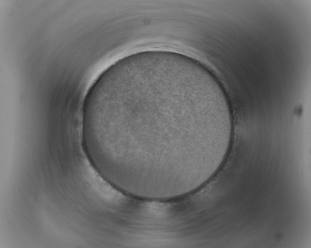 X0000113251514200909241558