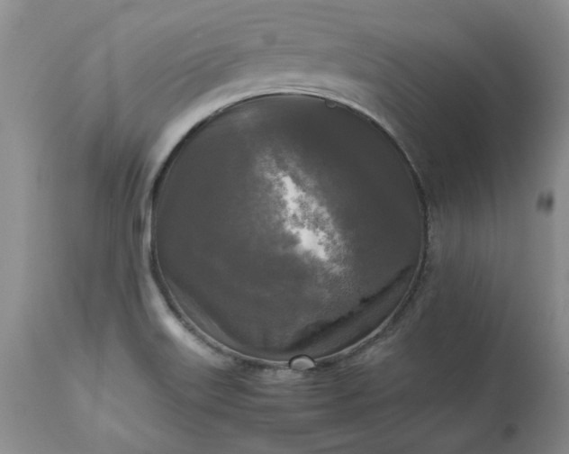 X0000113251515200909241558