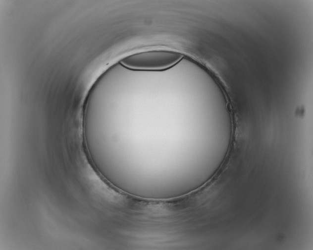 X0000113251516200909241558