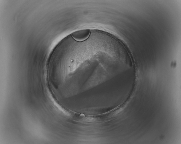 X0000113251517200909241558