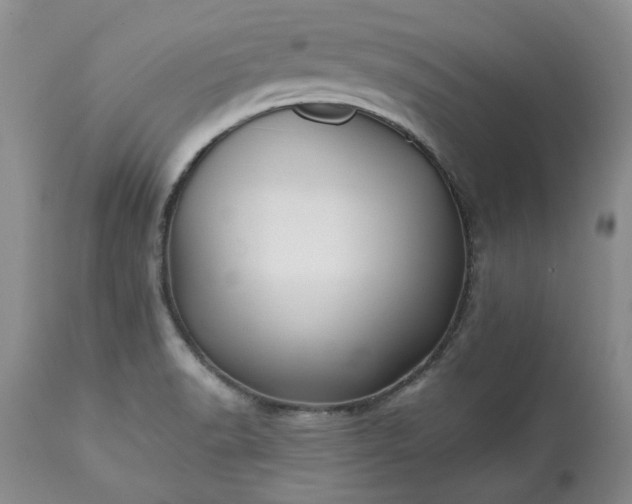 X0000113251518200909241558