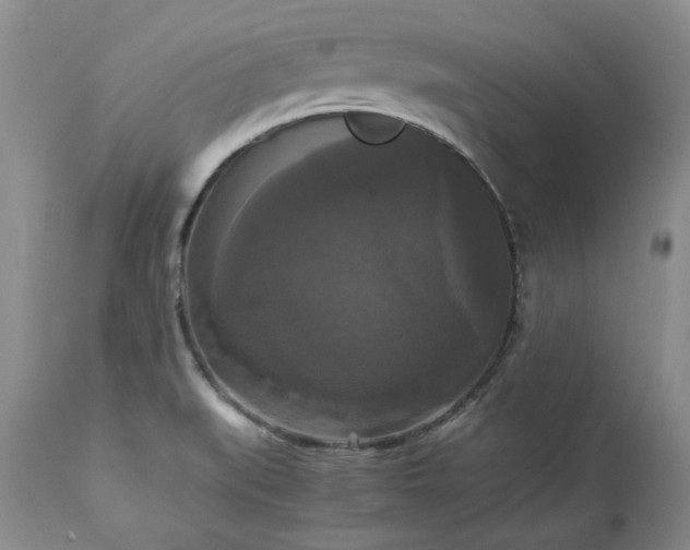 X0000113251519200909241558