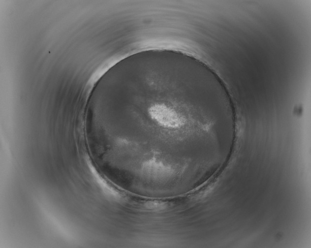 X0000113251521200909241558