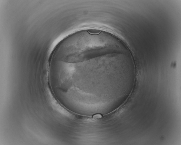 X0000113251522200909241558