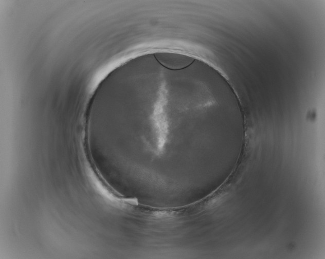 X0000113251523200909241558