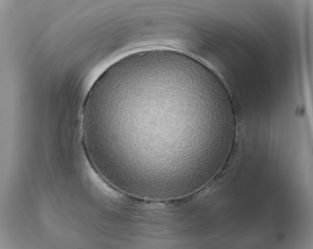 X0000113251524200909241558