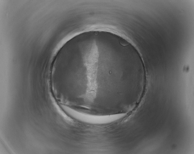 X0000113251525200909241558