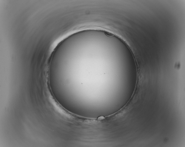 X0000113251526200909241558