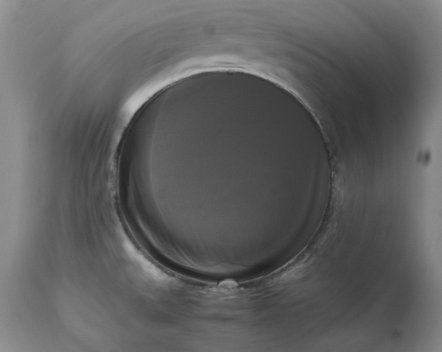 X0000113251527200909241558