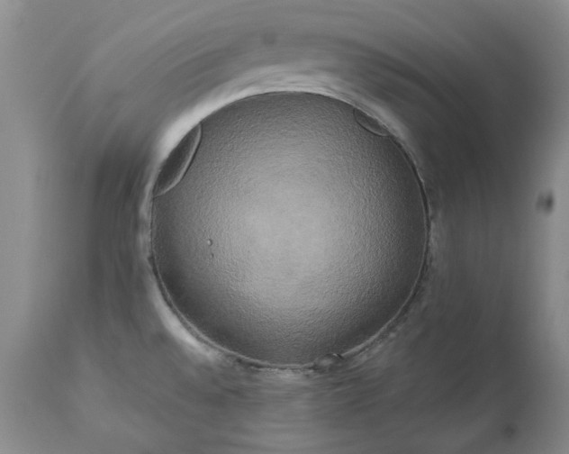 X0000113251528200909241558