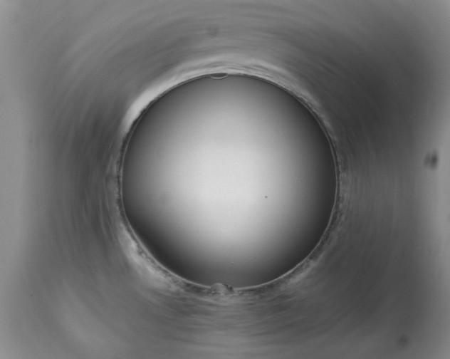 X0000113251530200909241558