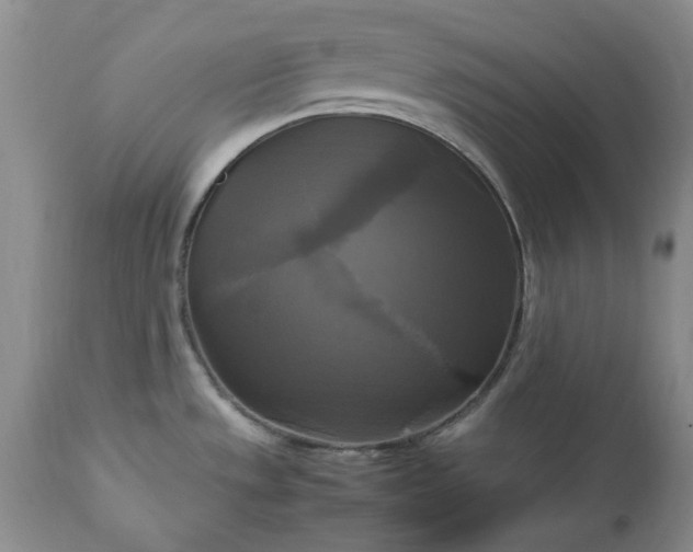 X0000113251533200909241558