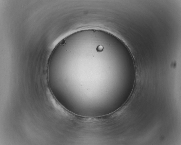 X0000113251534200909241558