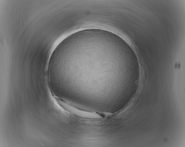 X0000113251536200909241558