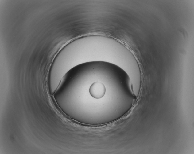 X0000113250001200910011356