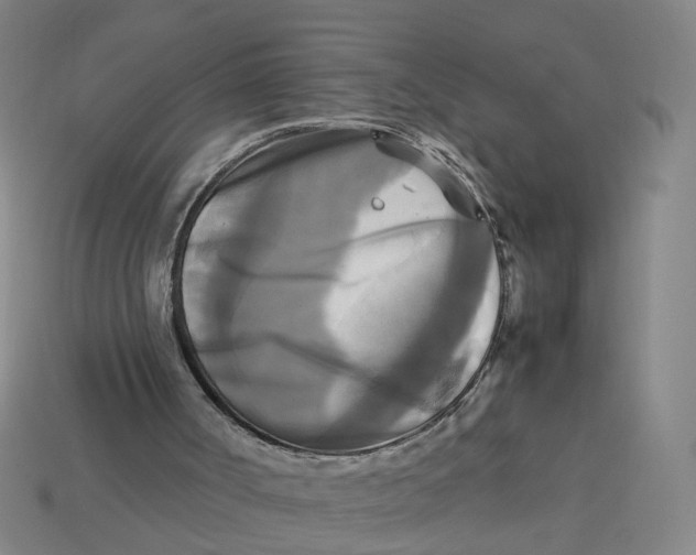 X0000113250002200910011356