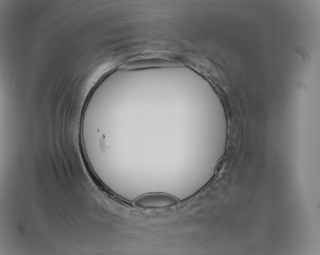 X0000113250003200910011356