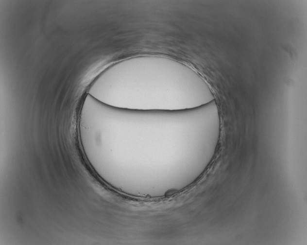 X0000113250005200910011356