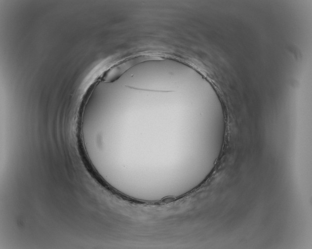 X0000113250007200910011356