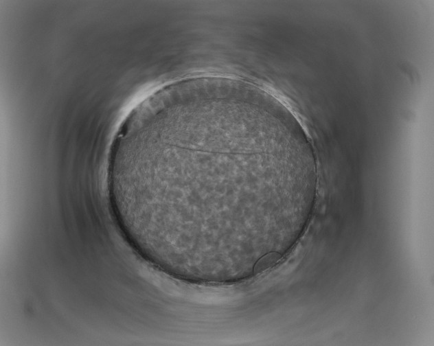 X0000113250008200910011356